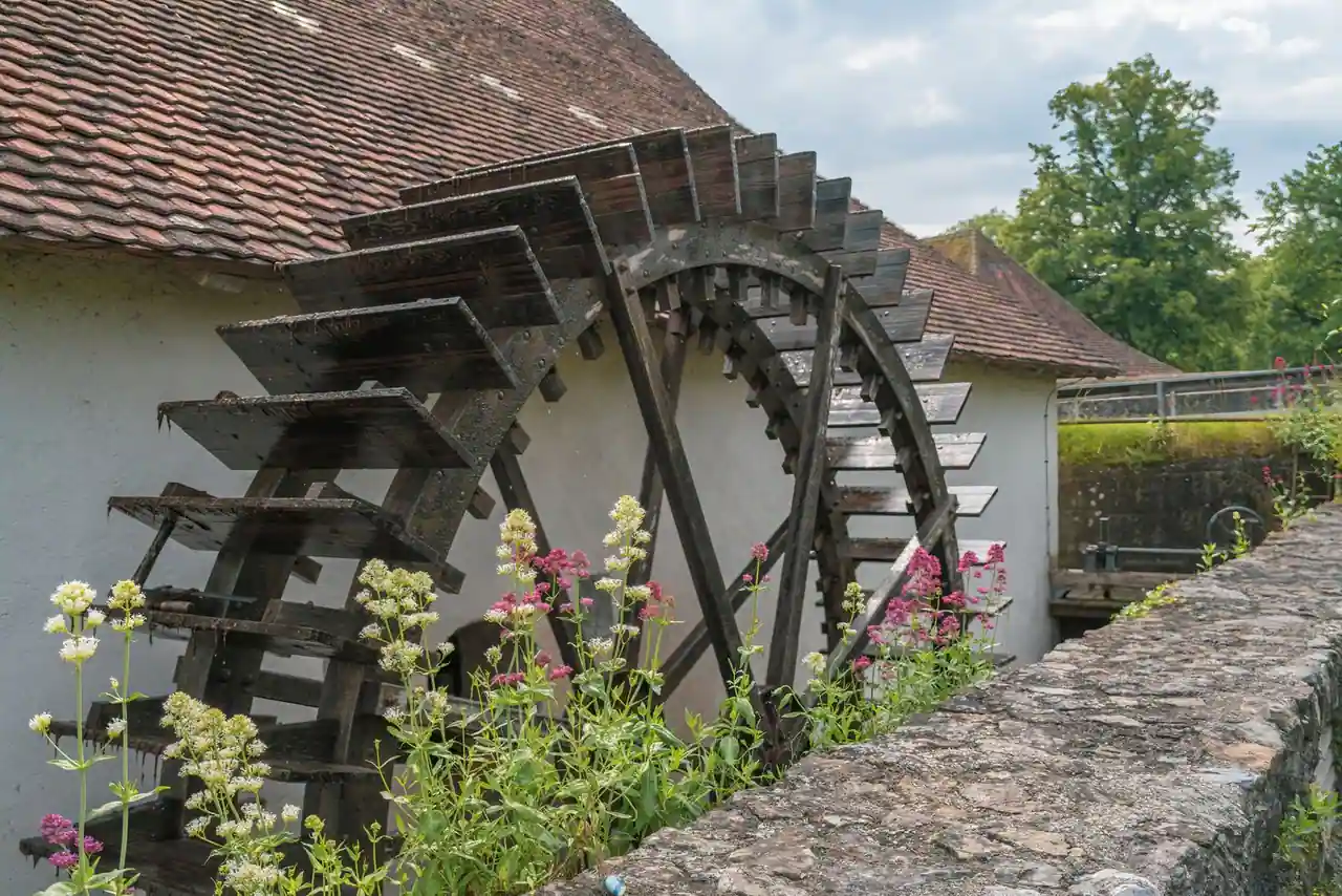 Roue à aubes en bois d'un ancien moulin à eau contre un mur clair, fleurs sauvages au premier plan