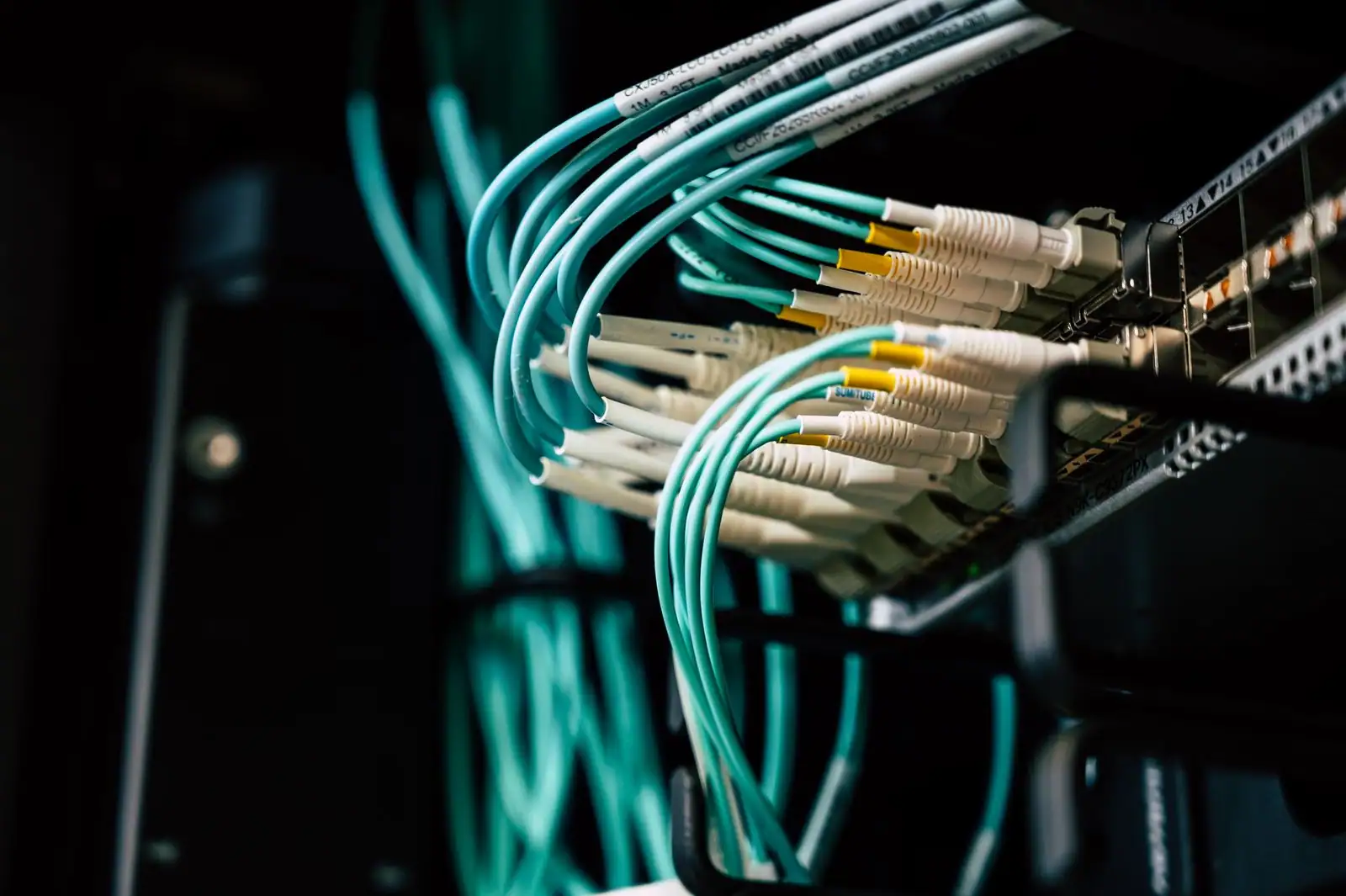 Câbles réseau turquoise et blancs raccordés à un commutateur dans une salle informatique