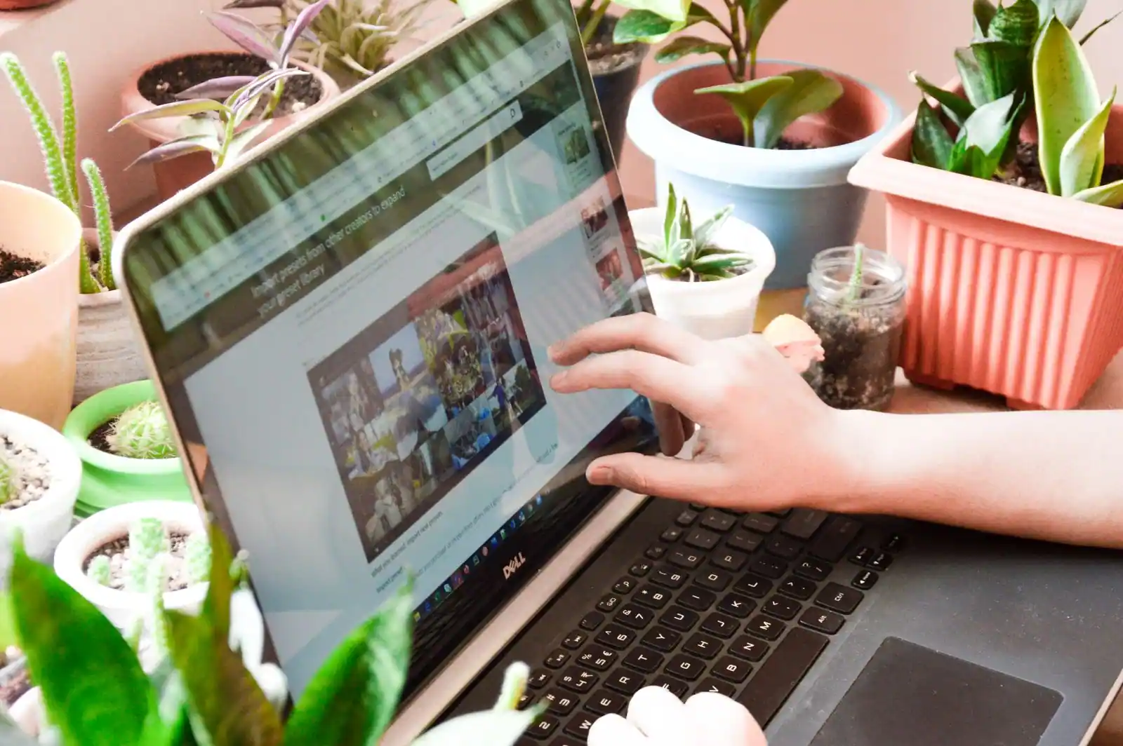 Main pointant l'écran d'un ordinateur portable posé sur un bureau entouré de plantes en pot.