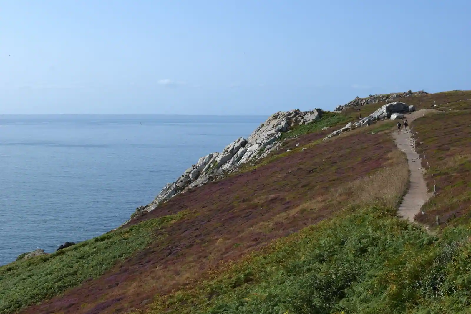 Sentier côtier breton bordé de bruyère et de rochers de granit, surplombant la mer